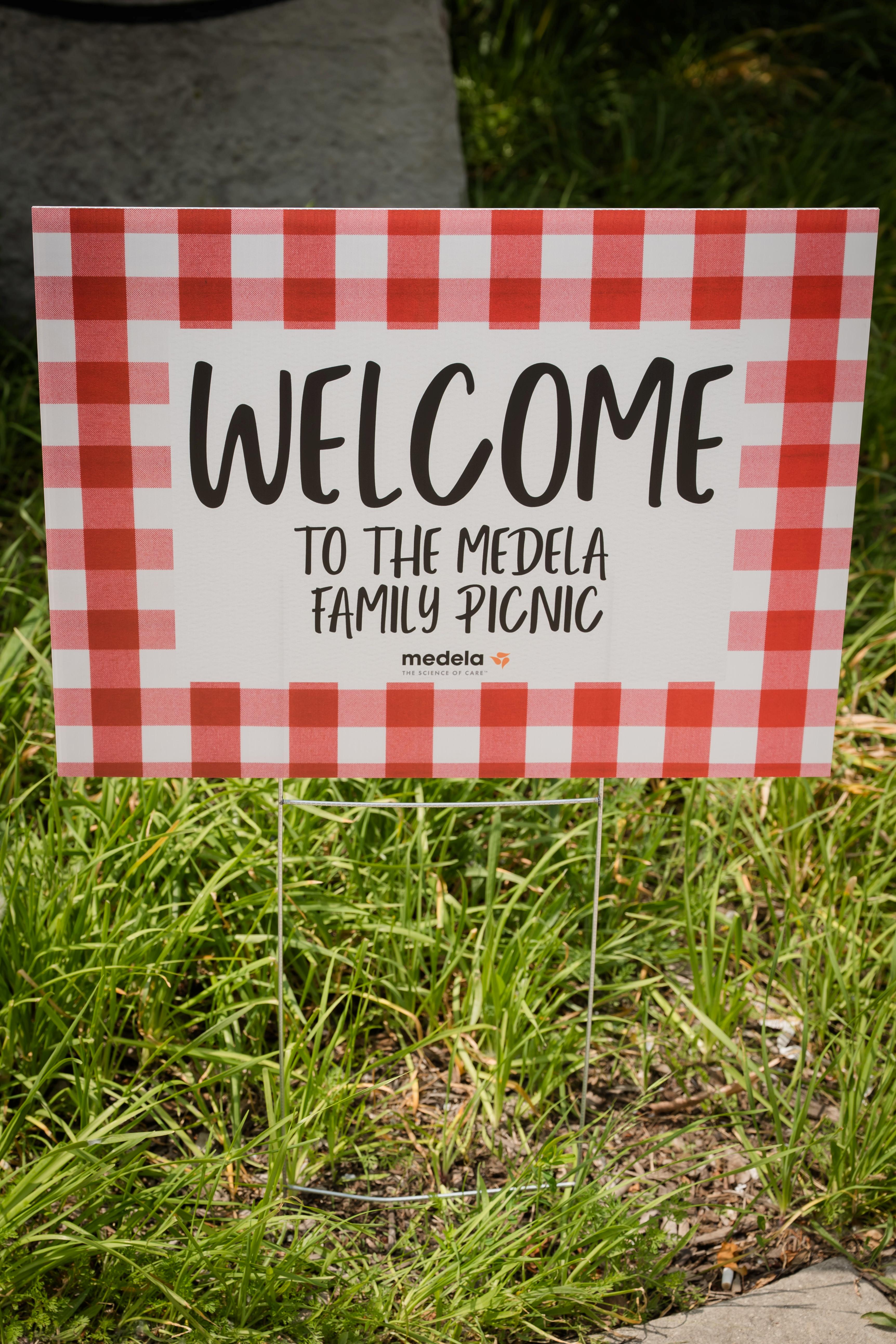 MEDELA FAMILY PICNIC 2025 photo 4